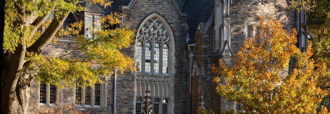 phd programs duke university